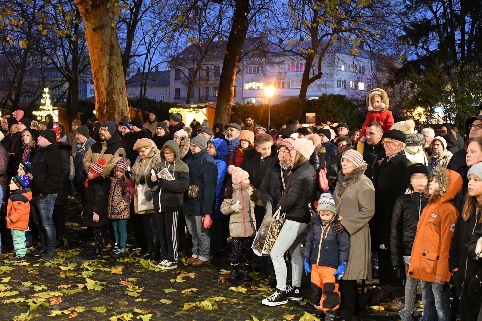 Felgyúlt az első gyertya lángja a Püspökség adventi koszorúján 2023.